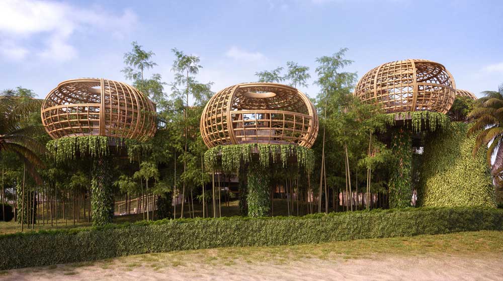 Waldorf Astoria Maldives Ithaafushi | Terra