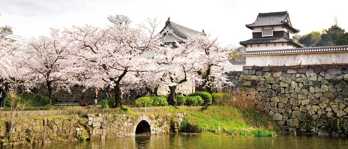 Fukuoka Castle