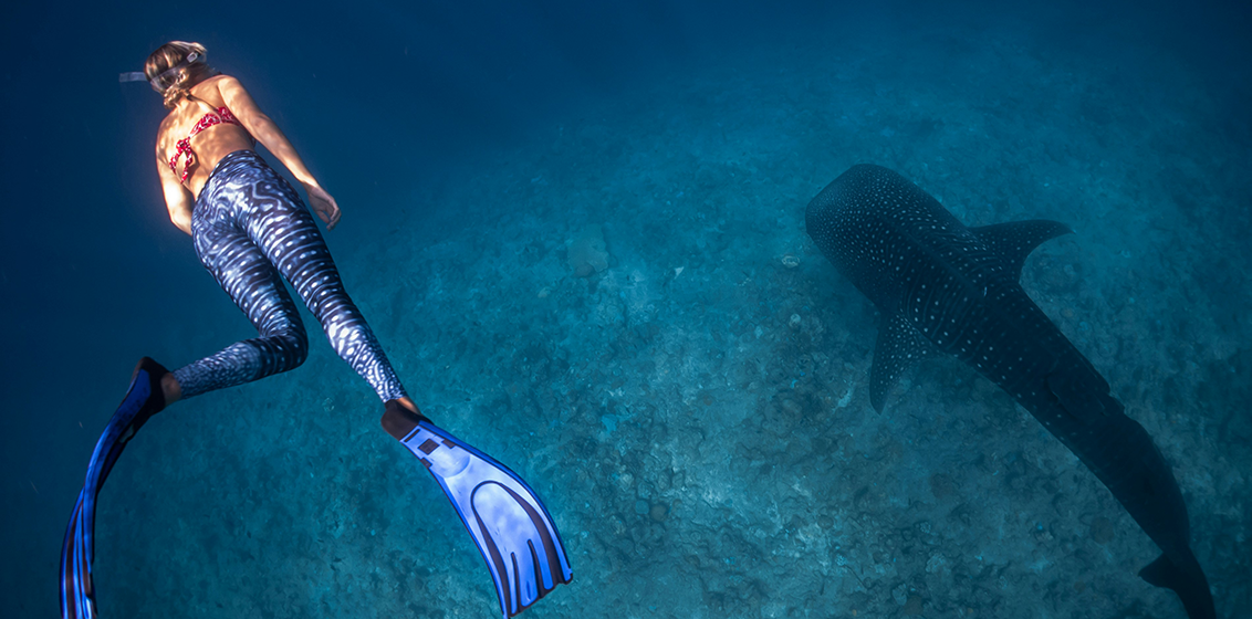 Swan Hellenic APAC details